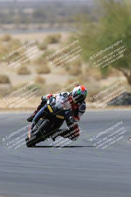 media/May-14-2023-SoCal Trackdays (Sun) [[024eb53b40]]/Turn 5 Tree of Life (1125am)/